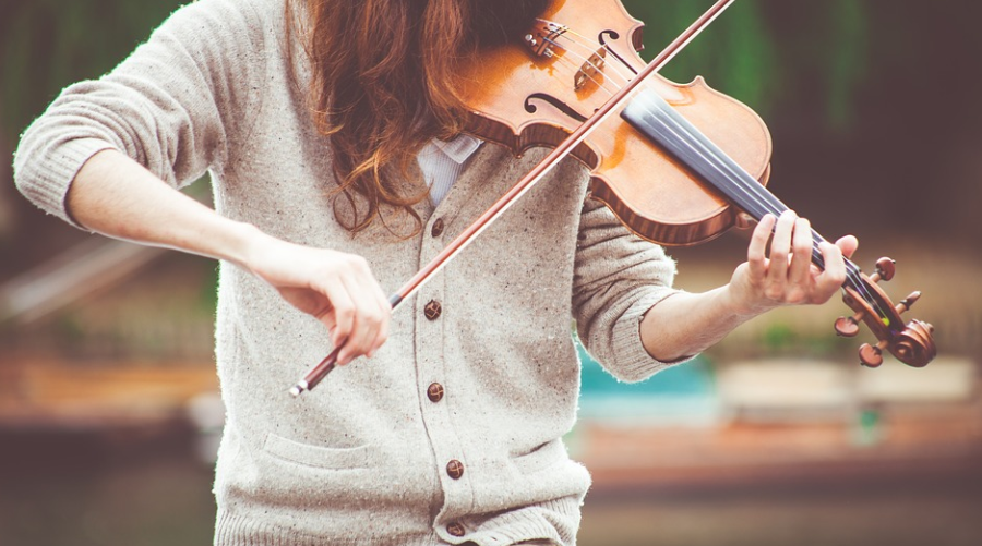 Violin